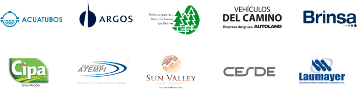 Logotipos de empresas clientes de MENTIS Consultants